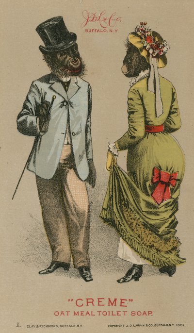Şık giysiler içinde şempanzeler by American School