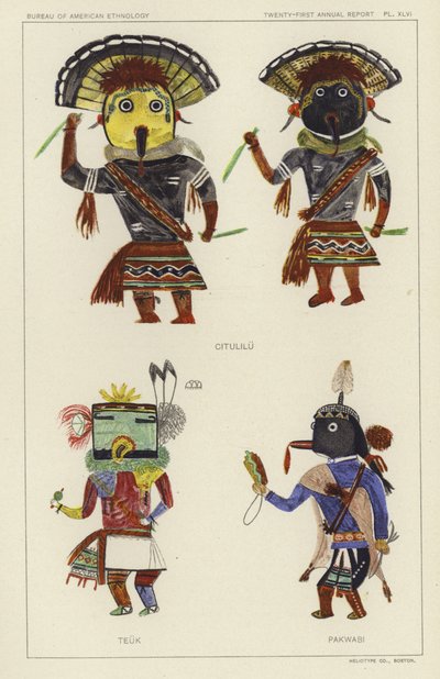  by American School