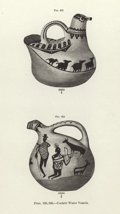 Cochiti Su Kapları by American School