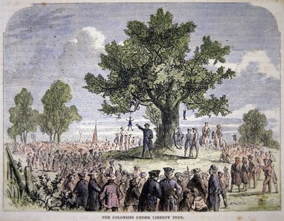 Özgürlük Ağacının Altındaki Koloniler (renkli taş) by American School