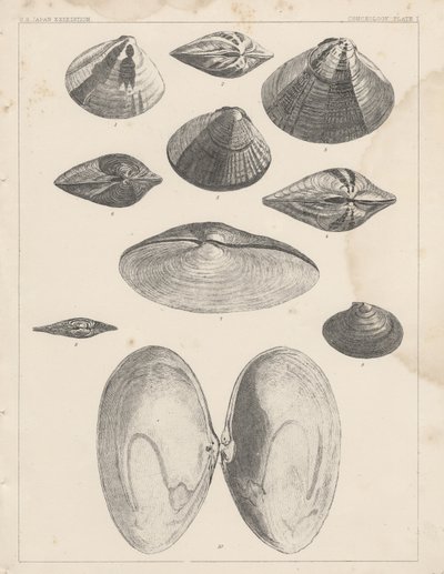  by American School