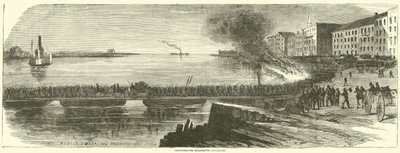 Savannah