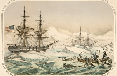 by American School