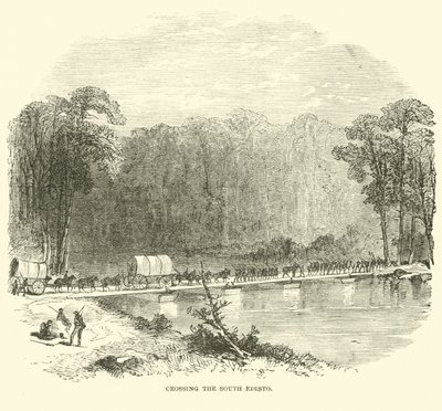 Güney Edisto