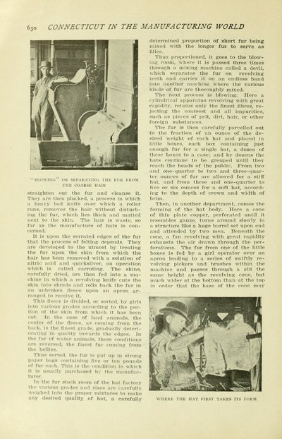 The Connecticut Magazine v.7