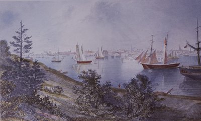 Tony roig, yol kanseri, tavşan by American School