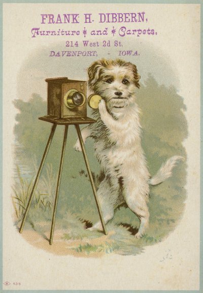 Bir kamera ile köpek by American School