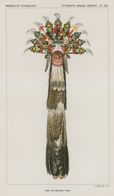 Kalko Taka Bebeği by American School