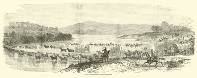 Potomac