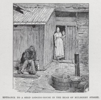Dut Sokağının Arkasındaki Bir Kulübe Pansiyonuna Giriş (litho) by American School