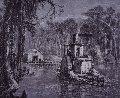 Florida Everglades sahnesi by American School