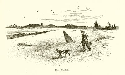 Moultrie Kalesi by American School