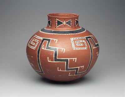 Foumile polikrom kavanoz, Anasazi, 13001500 (seramik) by American School