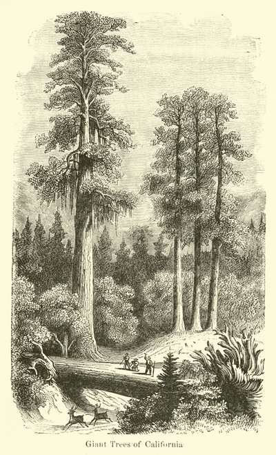 Kaliforniya