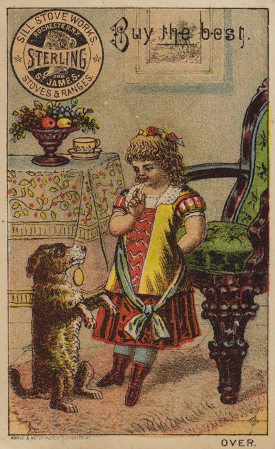 Kız ve Dilenci Köpek by American School