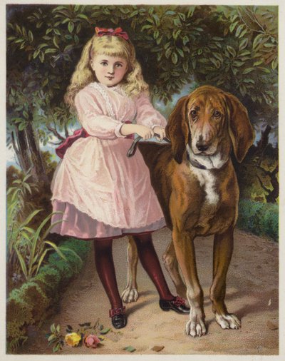 Bloodhound