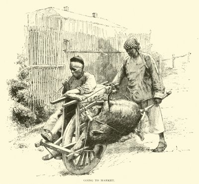 pazara gitmek by American School