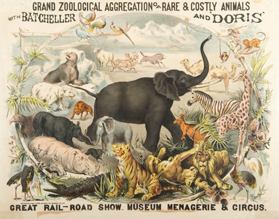 Batcheller ve Doris (chromolitho) ile Nadir ve Pahalı Hayvanların Büyük Zoolojik Toplama by American School