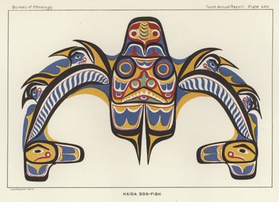 Haida köpek balığı by American School