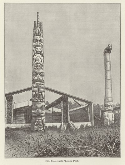 Haida Totem Karakolu by American School