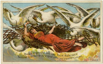 Salonlar Bitkisel Sicilya Saç Yenileyici, Gri Saçları orijinal rengine kavuşturur ve kelliği önler, Recto (renk litho [ticari kart]) by American School