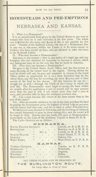 Homesteads ve Pre-Emptions, 1872 (baskı) by American School