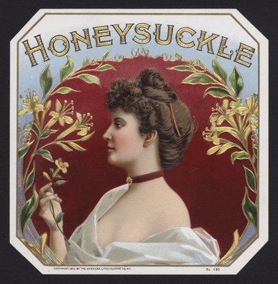 Hanımeli (kromolitho) by American School