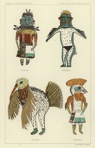 Hospoa, Paszro, Koyona, Kowako (renkli lito) by American School