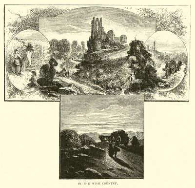 Şarap Ülkesinde by American School