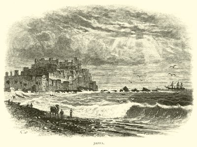 yafa by American School