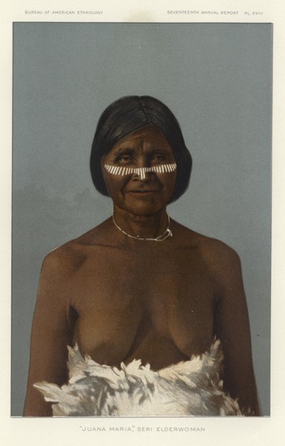 Juana Maria, Yaşlı Kadın Serisi by American School