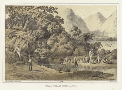 Kanaka Köyü, Bonin Adaları by American School