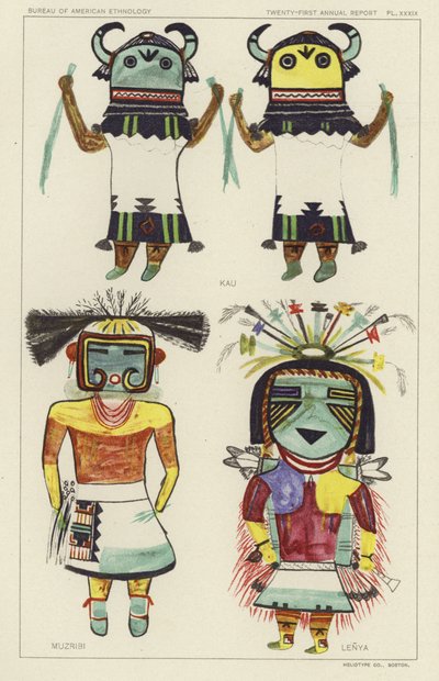 Kau, Muzribi, Lenya (renkli lito) by American School