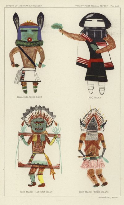  by American School