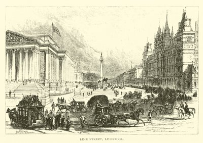 Kireç Sokağı, Liverpool by American School