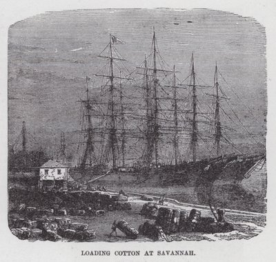 Savannah
