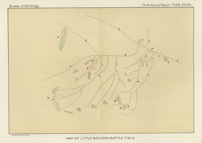 Little Bighorn Battlefield Haritası by American School