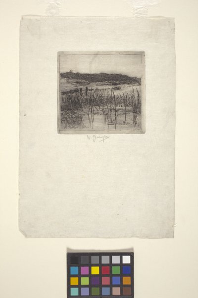 Bataklık (gravür) by American School