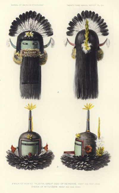  by American School