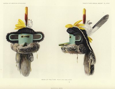  by American School