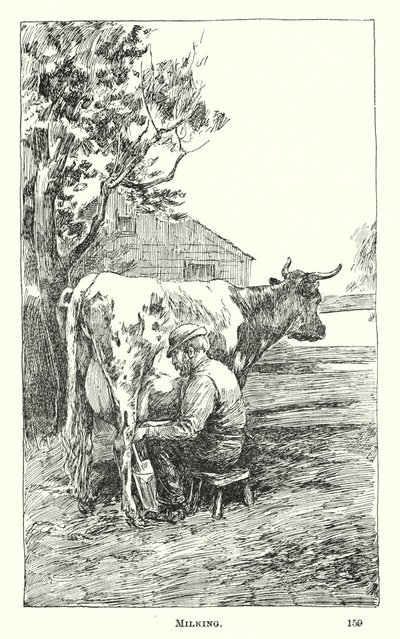 Sağım (gravür) by American School