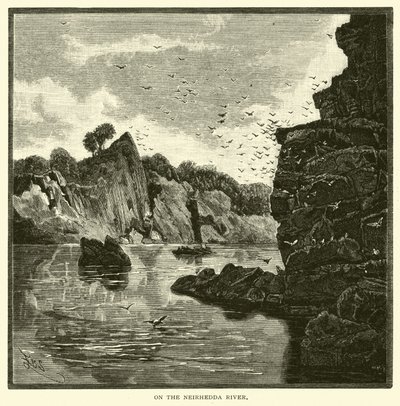 Neirhedda Nehri üzerinde by American School