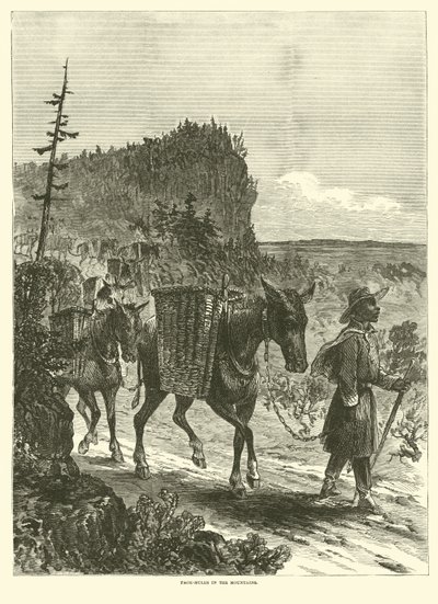 Dağlarda paket katırlar, Şubat 1863 by American School