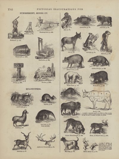  by American School