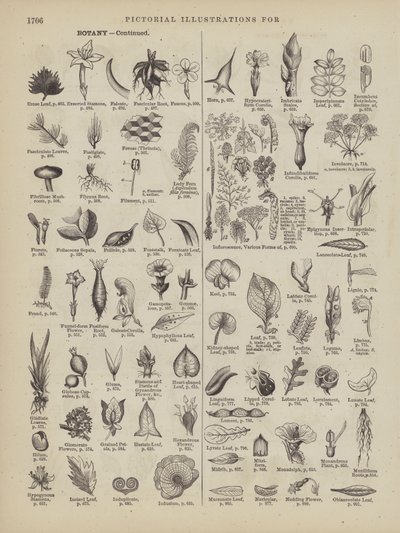  by American School