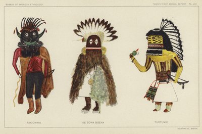  by American School