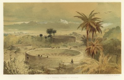 Parsi Sessizlik Kuleleri by American School