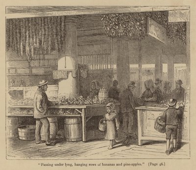  by American School