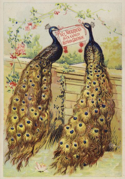 Duvarda Oturan Tavus Kuşları by American School