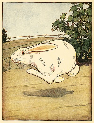 Peter, The Tale of Peter Rabbit, pub